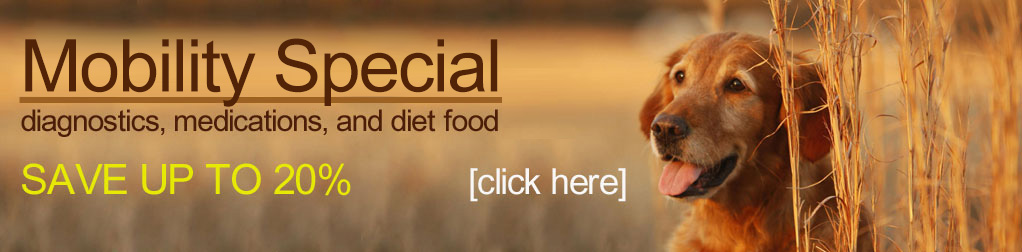 Download All About Pets Provo Pictures