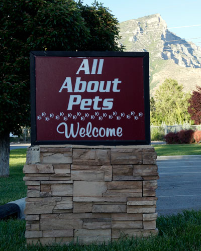 Welcome to All About Pets