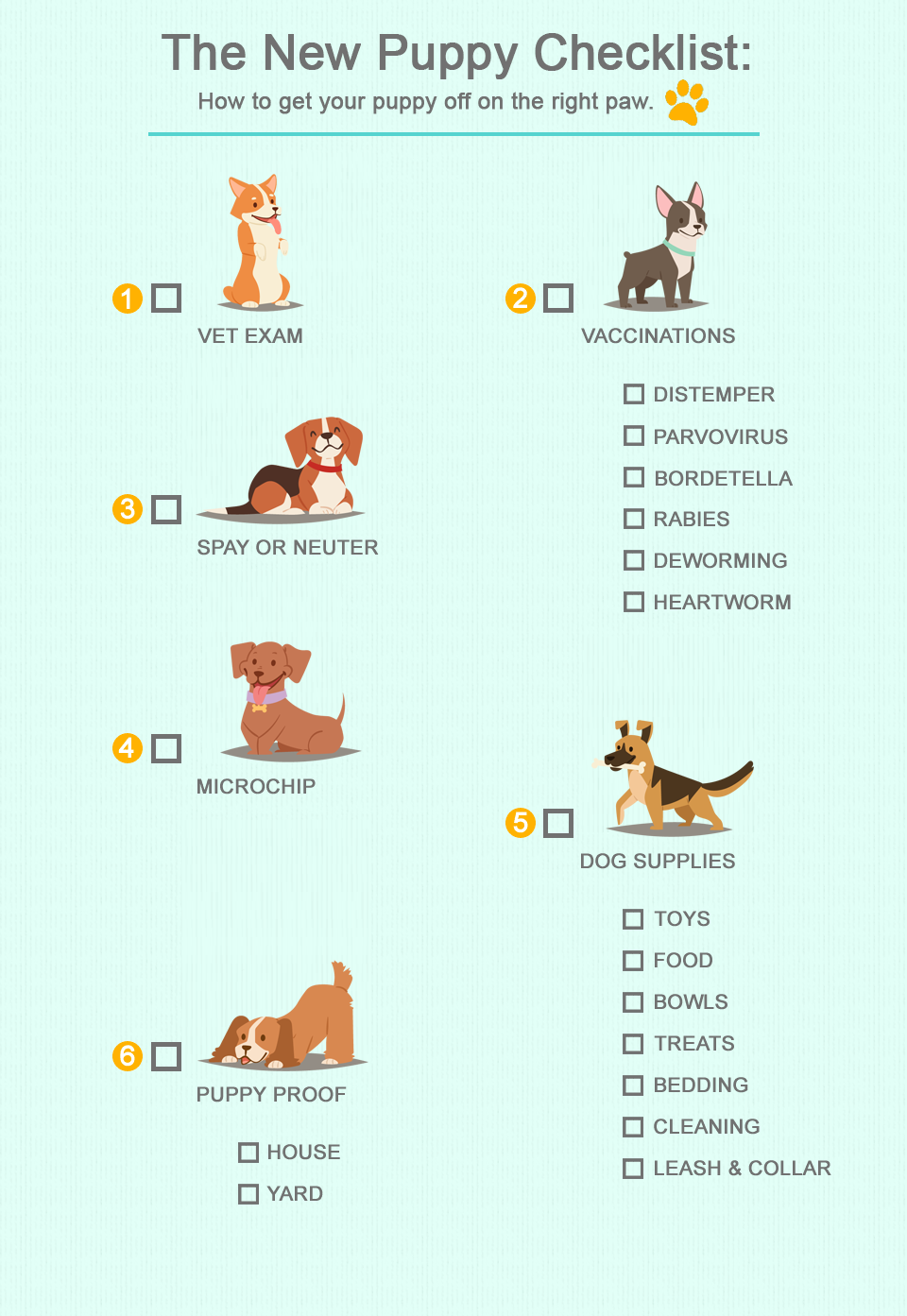 New Puppy Checklist