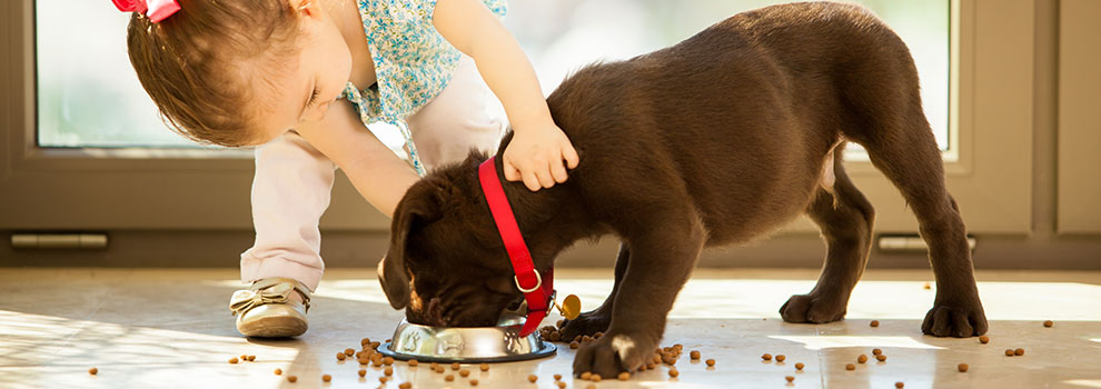 Girl Feeding Dog